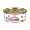 12 Latas Royal Canin Recovery