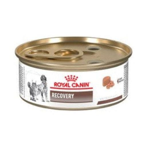 12 Latas Royal Canin Recovery