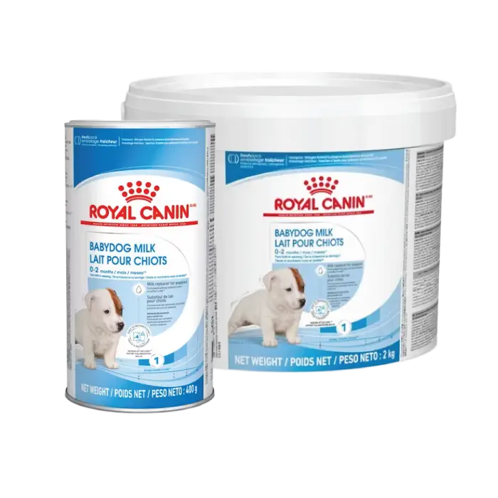 Royal Canin Babydog Milk Etapa 1
