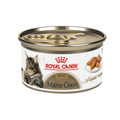 12 Latas Royal Canin Maine Coon