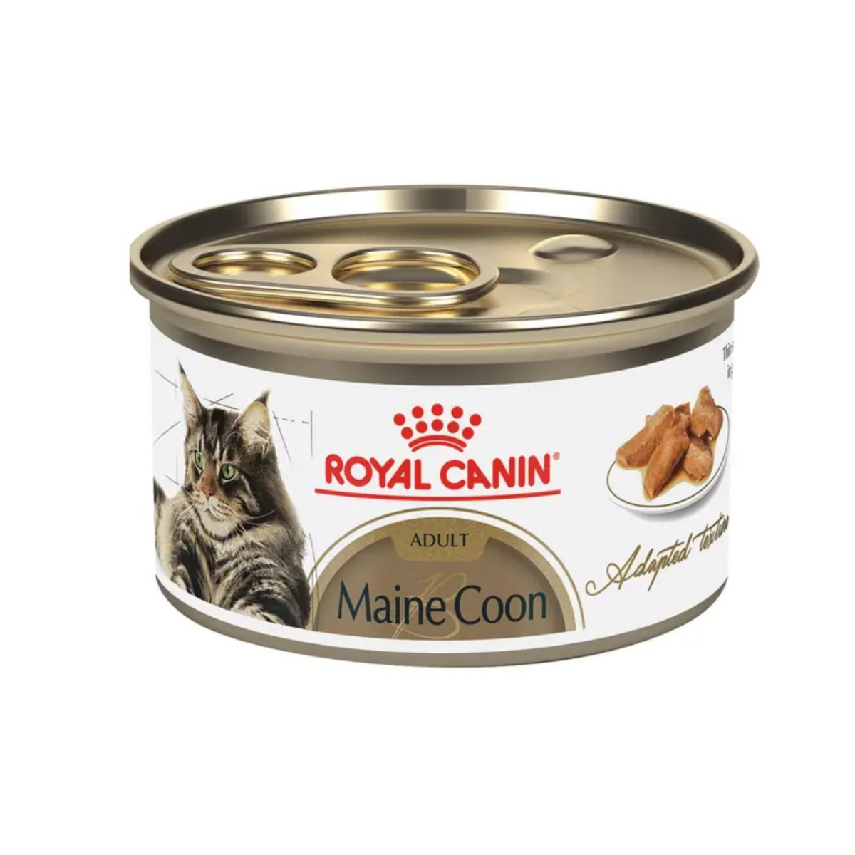 12 Latas Royal Canin Maine Coon