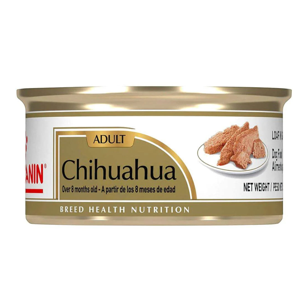 12 Latas Royal Canin Chihuaha Adulto