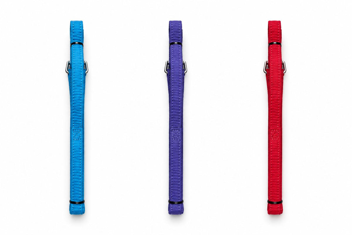 Correas One Line