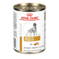 12 Latas Urinary Royal S/O