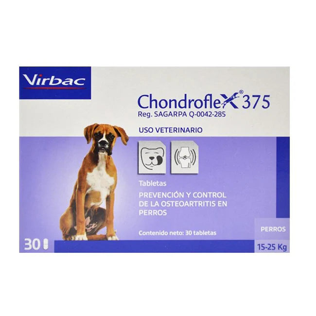 Chondroflex 375