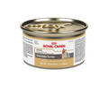 12 Latas Royal Canin Yorkshire