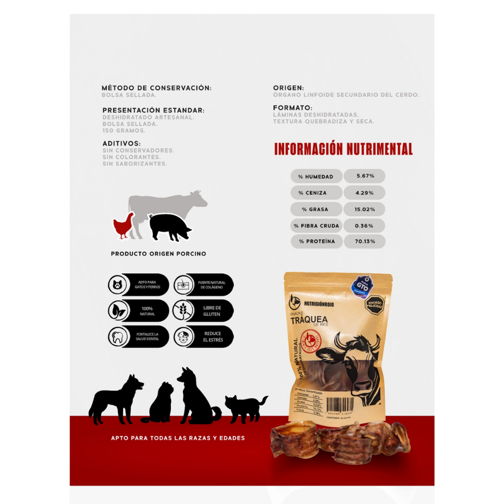 Nutrición Rojo Traquea de res
