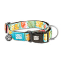 Max & Molly Collar