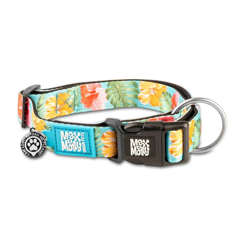 Max & Molly Collar