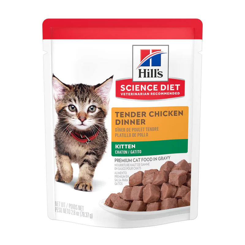 12 Puch Hill's Science Diet Kitten