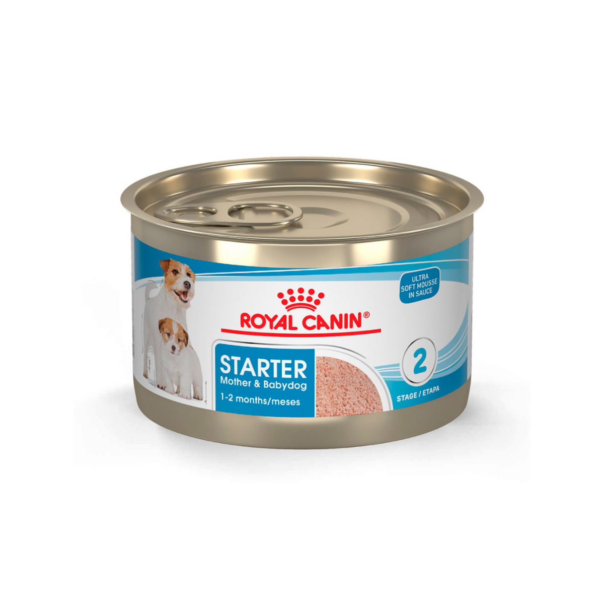 12 Latas Royal Canin Starter Mother & Baby