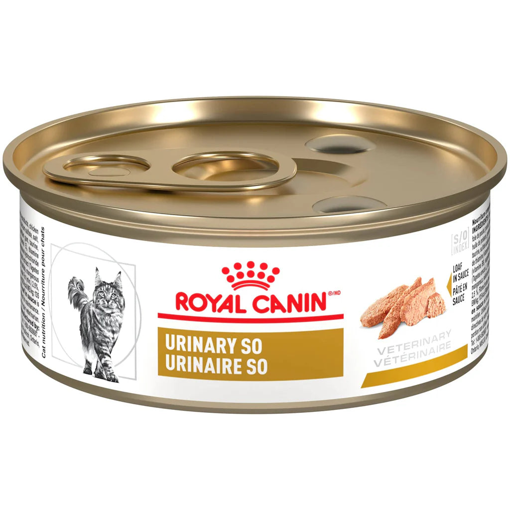 12 Latas Royal Canin Urinary S/O  Felino