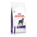 Royal Canin Adulto Large Dog 12 Kg