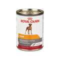 12 Latas Royal Canin  Adulto