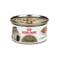 12 Latas Royal Canin Persian Adult